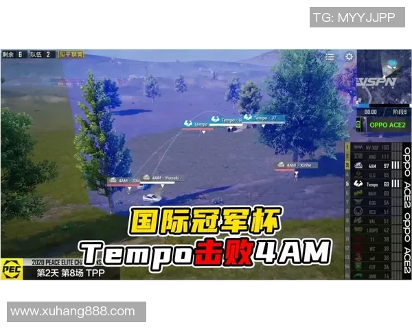 和平精英战术分析：深入探讨WE战队的边路渗透策略与实战应用